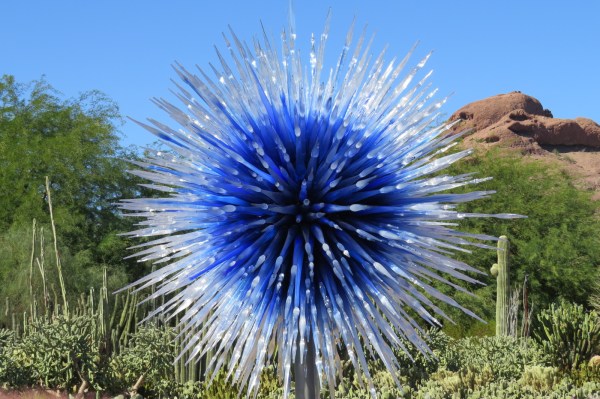 Chihuly glass art exhibit at the Desert Botanical Gardens.